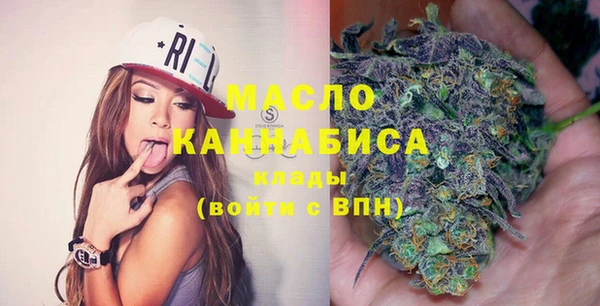 гидра Гусь-Хрустальный