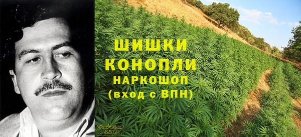 альфа пвп Тавда
