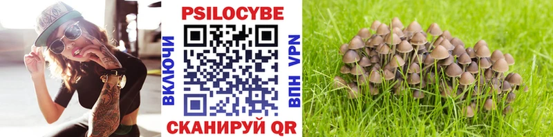 Псилоцибиновые грибы прущие грибы  купить   Палласовка 